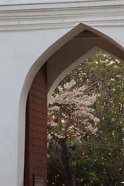 Lopburi King Narai fair-181